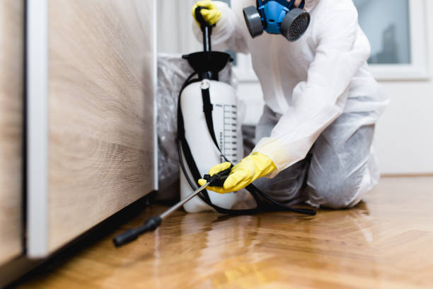Best Pest Control Treatment  in Jourdanton, TX