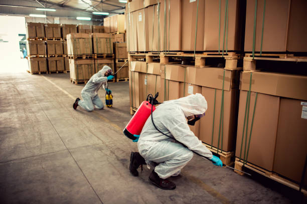 Best Emergency Pest Control  in Jourdanton, TX