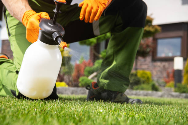 Best Pest Prevention Services  in Jourdanton, TX