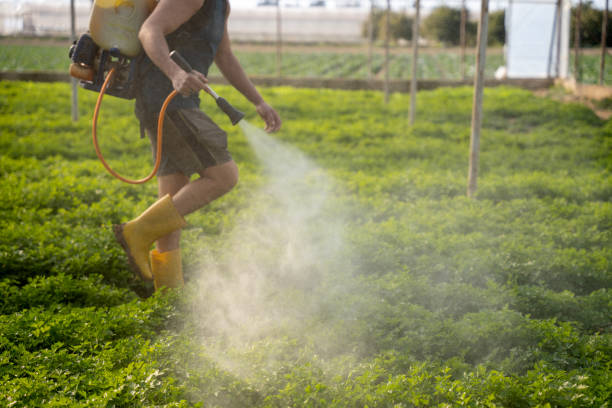 Best Best Pest Control Companies  in Jourdanton, TX
