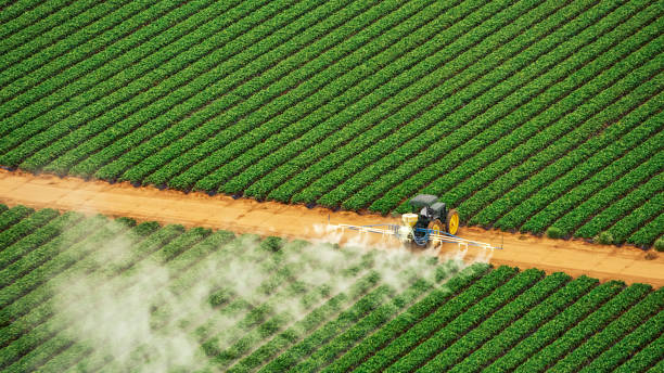 Best Termite Control Services  in Jourdanton, TX