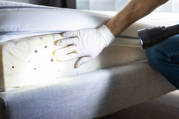 Trusted Jourdanton, TX Pest Control Experts