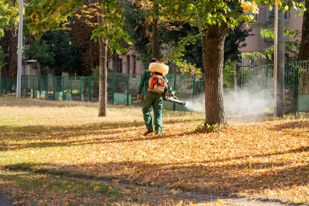 Best Flea Control Services  in Jourdanton, TX